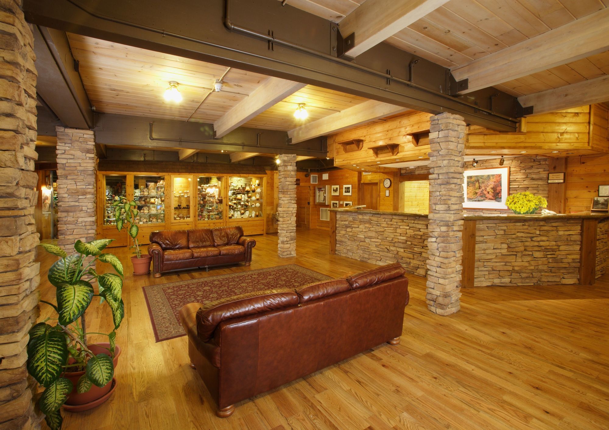 Zion Lodge Спрингдейл Экстерьер фото