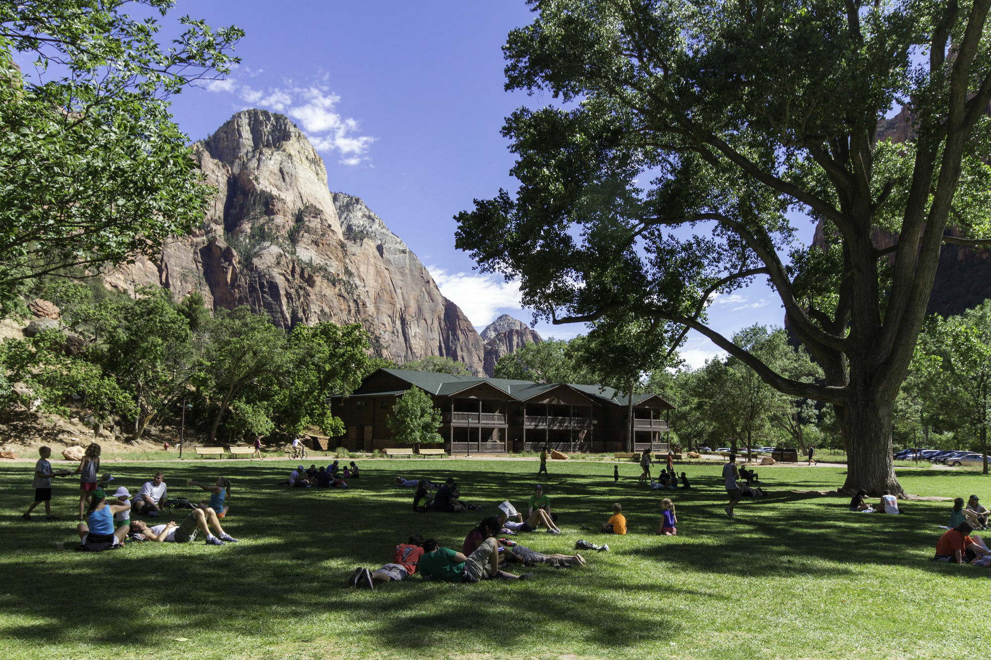 Zion Lodge Спрингдейл Экстерьер фото