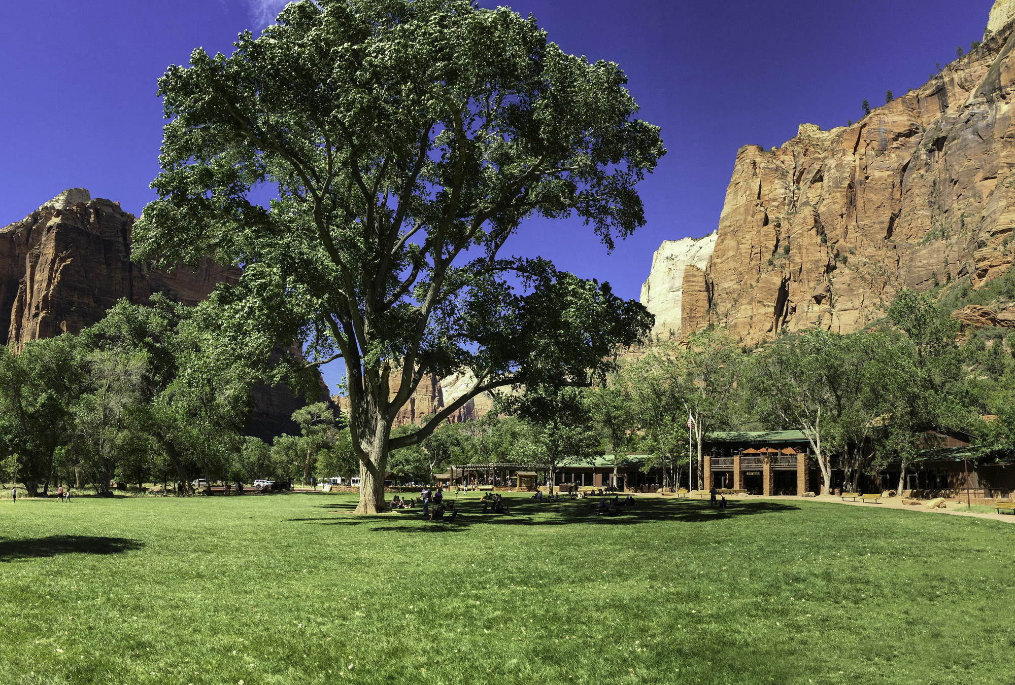 Zion Lodge Спрингдейл Экстерьер фото