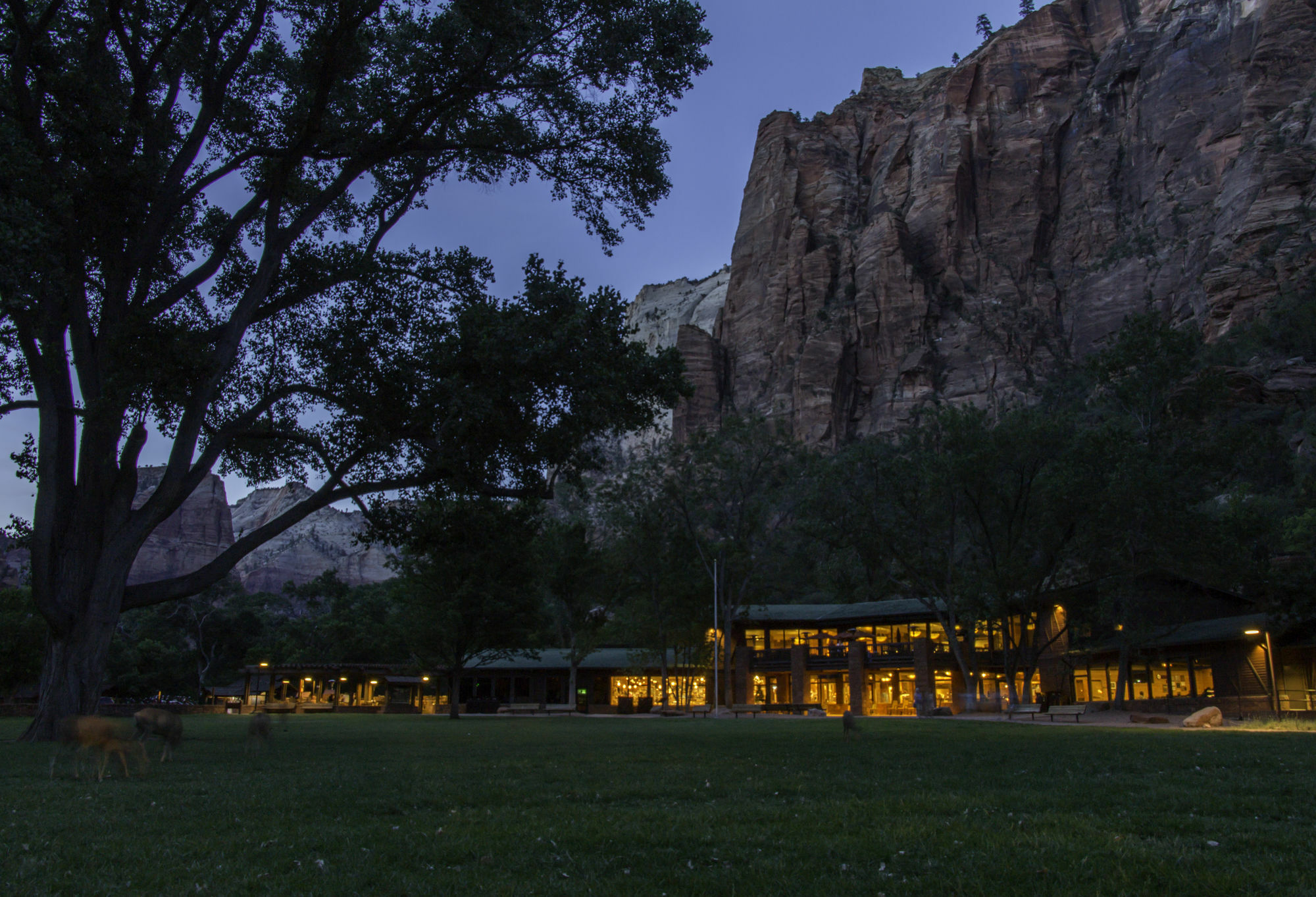 Zion Lodge Спрингдейл Экстерьер фото