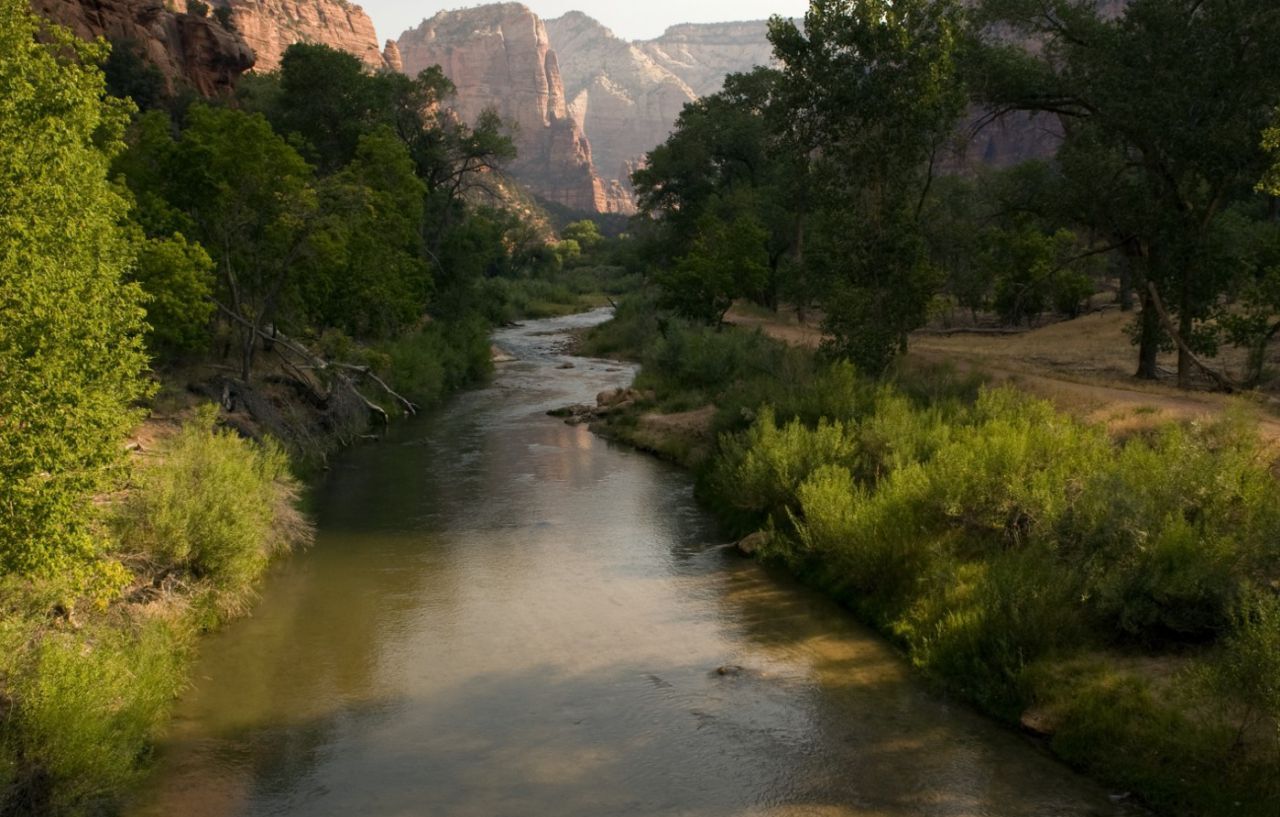 Zion Lodge Спрингдейл Экстерьер фото